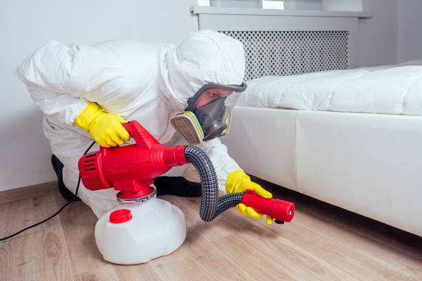 Professional Pest control in Varnell, GA